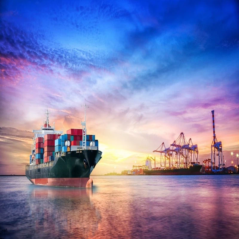 DDU DDP Sea Freight DDU DDP Sea Freight